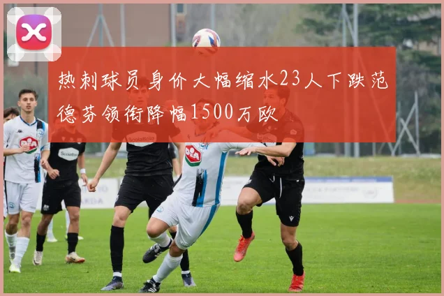 热刺球员身价大幅缩水23人下跌范德芬领衔降幅1500万欧